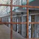 Homem que matou tio a facadas na casa da avó é condenado a 21 de prisão