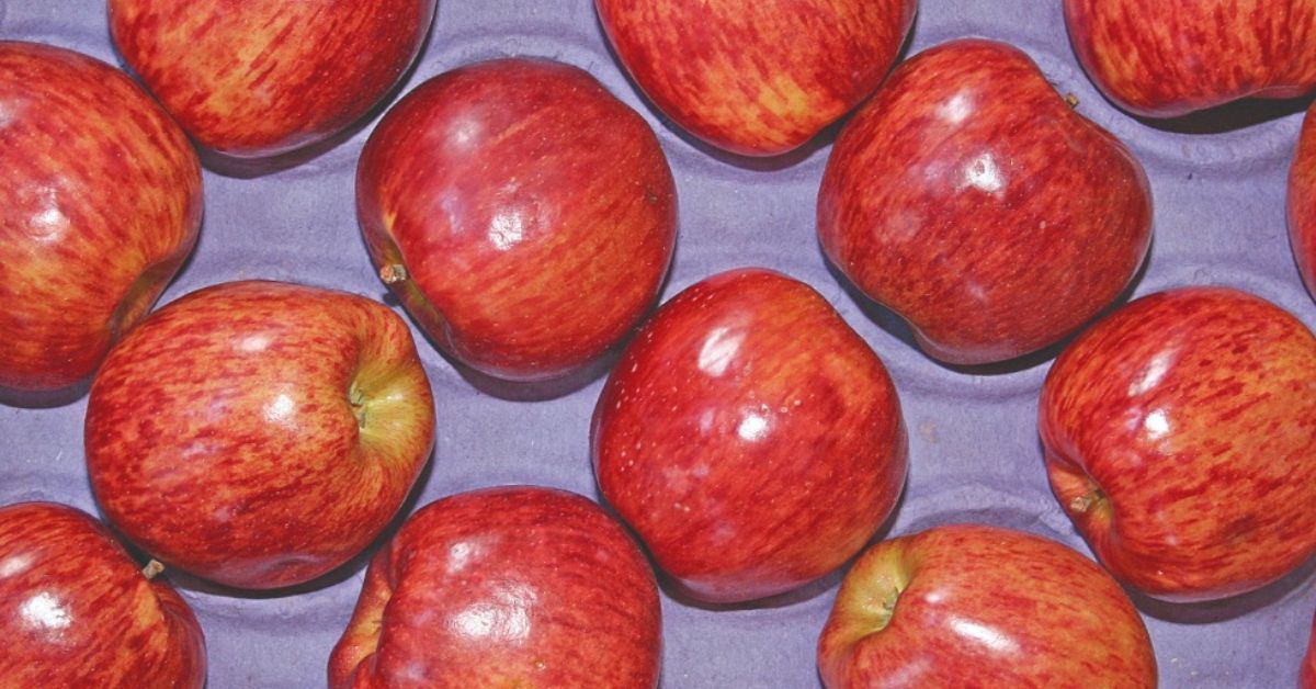 Comprar frutas e hortaliças em Belo Horizonte está mais barato; entenda