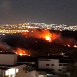Incêndio atinge mata da UFMG e mobiliza bombeiros em Belo Horizonte