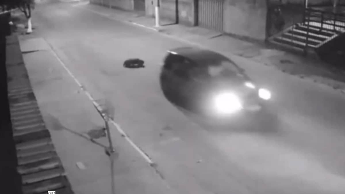 Vídeo mostra cão sendo atropelado por carro que estudante assassinado estava na Grande BH 