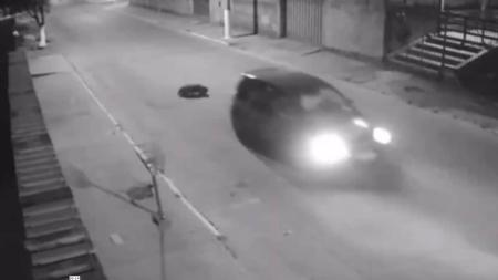 Imagem mostra o animal sendo atropelado e correndo pela rua