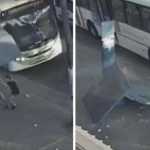 Ponto de ônibus desaba e mulher escapa por muito pouco em GO; veja o momento