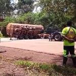 Acidente na BR-040: carreta é destombada e motoristas comemoram