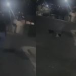 Vídeo: mulher grava vídeo perseguindo e chutando gato em Santa Luzia 