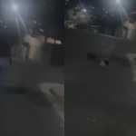 Vídeo: mulher grava vídeo perseguindo e chutando gato em Santa Luzia