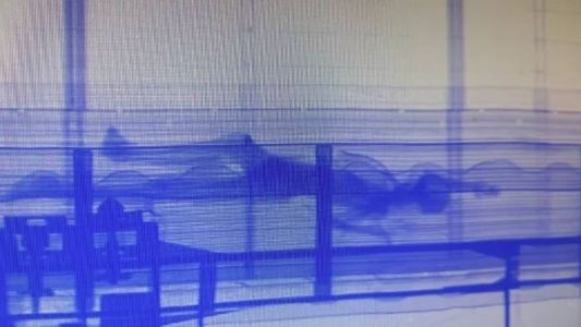 Imagem mostra silhueta de corpo humano dentro de contêiner