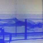 Scanner da Receita Federal identifica corpo em contênier de navio no Porto de Santos  