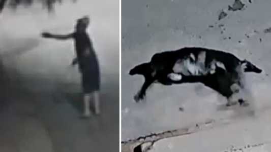 Imagem mostra suspeito jogando carne na rua