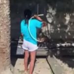 Vídeo: idosa é presa após agredir cão com mangueira no interior do Alagoas