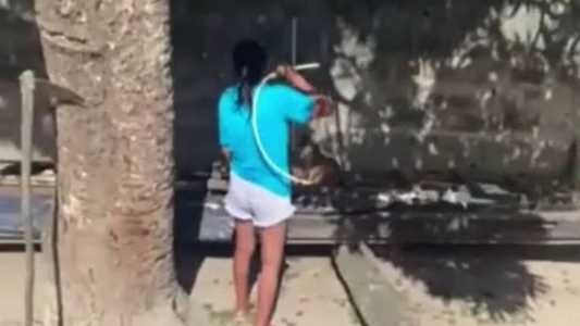 Imagem mostra suspeita dando mangueiradas em cachorro