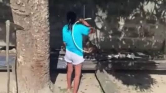 Imagem mostra suspeita dando mangueiradas em cachorro