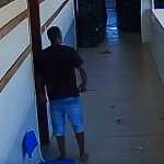 Vídeo: adolescente invade escola e tenta esfaquear colega em Minas