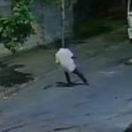 ‘Fiz por dignidade’, diz idoso que enterrou pitbull arrastada e morta por motoqueiro em BH