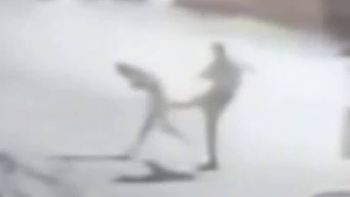 Vídeo: mulher chama a polícia durante confusão com marido e é agredida por PM em Goiás