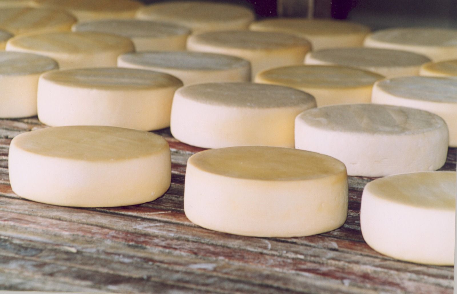 Queijo Minas Legal: Estado espera mais que dobrar número de queijarias regularizadas