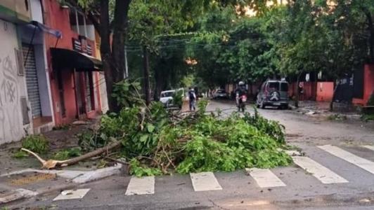 Imagens da Av. Rio Branco, zona sul de SP