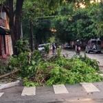Sobe pra oito o número de vítimas das das chuvas em São Paulo