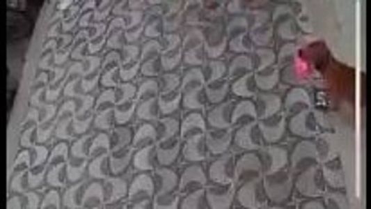 Imagens de câmeras de monitoramento mostram o momento do 'furto'