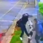 Cachorro salva tutor e impede assalto na Grande São Paulo: vídeo