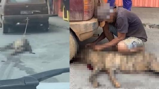 Imagens geraram revolta nas redes sociais