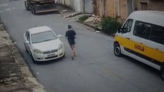 Imagens mostram a ação criminosa