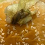 Casal encontra lesma em lanche do Burger King, em BH, e gerente diz: 'façam o que achar melhor'