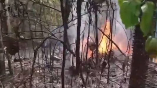 Imagens mostram avião em chamas em uma área de mata fechada