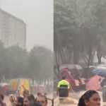 Banheiros químicos são arrastados por chuva em desfile de bloco de rua em São Paulo; veja imagens