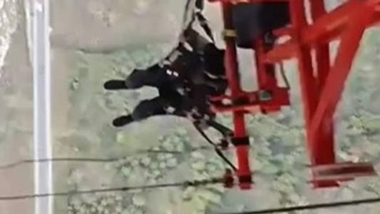 Imagens viralizaram neste fim de semana e coloca em xeque até os mais 'aventureiros'