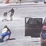 Vídeo: homem salva bebê em carrinho desgovernado momentos antes de entrar em avenida movimentada