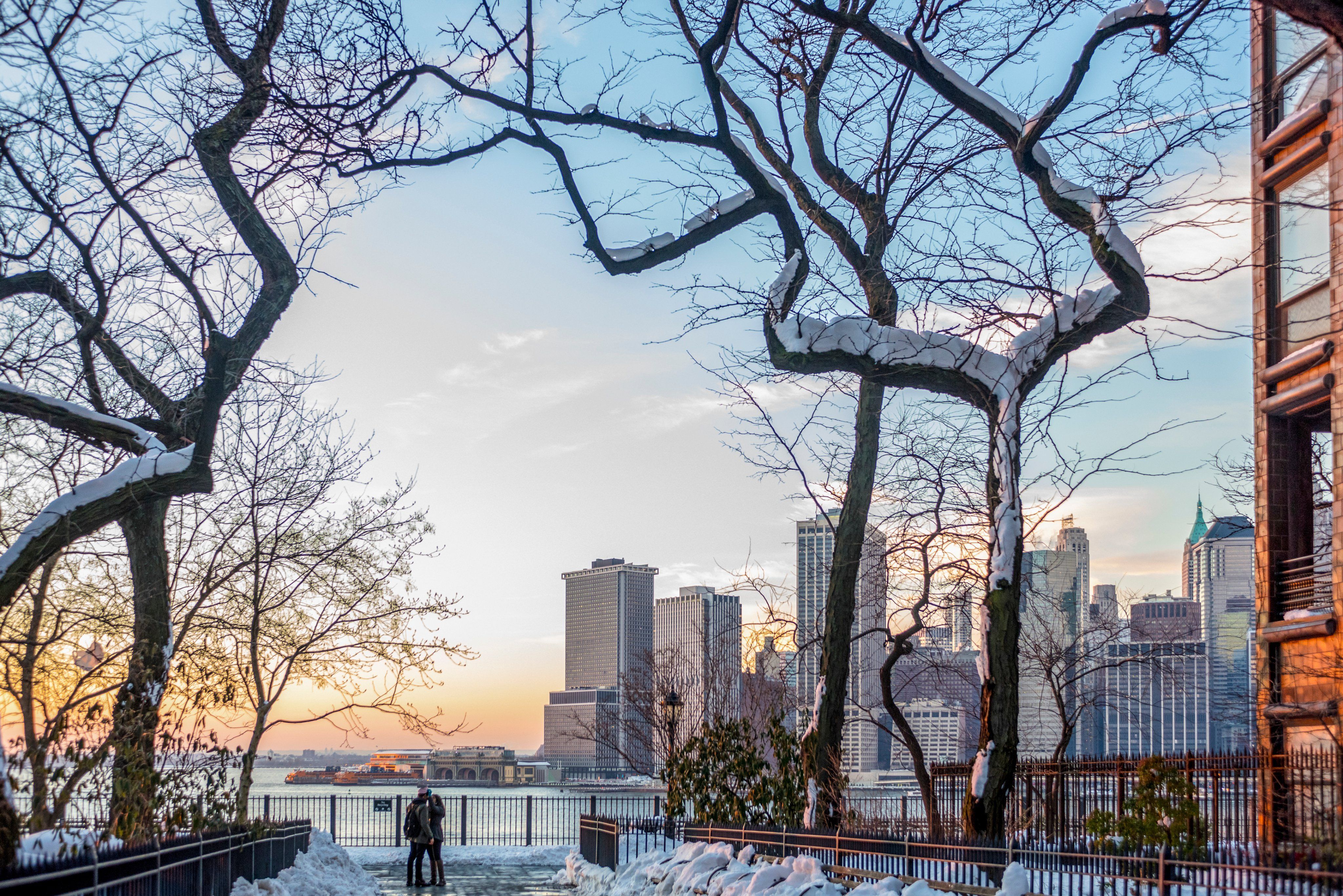 Nova York registra neve após quase dois anos em meio à onda de frio; veja imagens