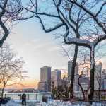 Nova York registra neve após quase dois anos em meio à onda de frio; veja imagens