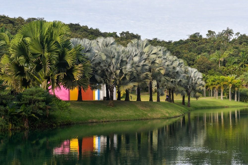 Agosto do Instituto Inhotim tem arte, natureza e cultura em destaque; veja programação