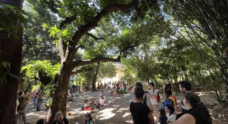 Prefeitura realiza escuta pública para plano de arborização municipal