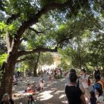 Prefeitura realiza escuta pública para plano de arborização municipal