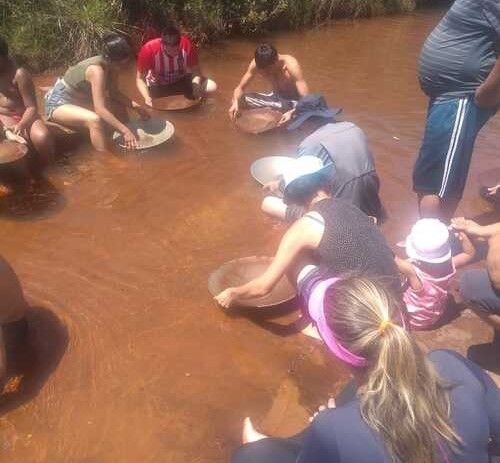 Estudo da UFOP propõe uso de ora-pro-nóbis no lugar do mercúrio na extração de ouro artesanal