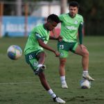Palmeiras x Athletico-PR: horário e onde assistir ao vivo pelo Campeonato Brasileiro