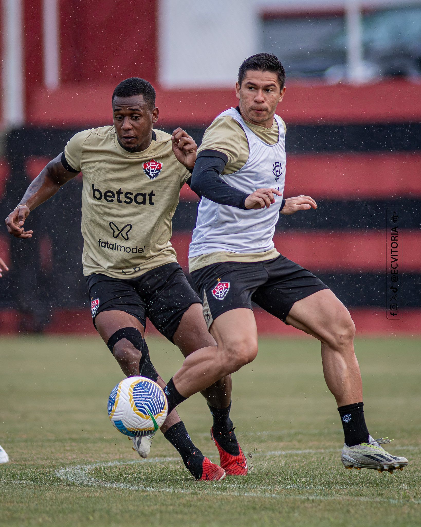 Vitória x Botafogo: horário e onde assistir ao vivo pela Copa do Brasil