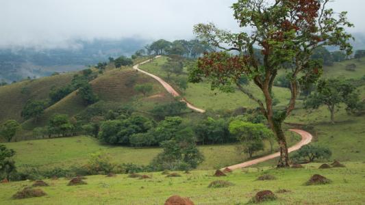 Santuário Nacional de Aparecida