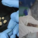 Vacina da UFMG contra o vício em crack e cocaína disputa prêmio internacional; saiba mais