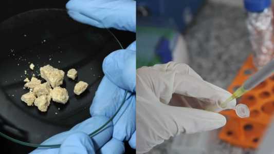 Imunizante é alternativa no tratamento contra a dependência química