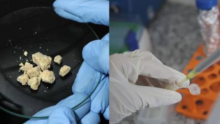 Imunizante é alternativa no tratamento contra a dependência química