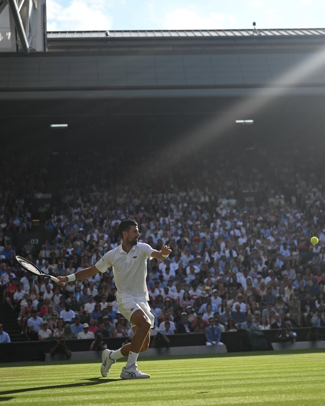 Djokovic vence Cobolli de virada e enfrentará Sinner na semifinal de Wimbledon
