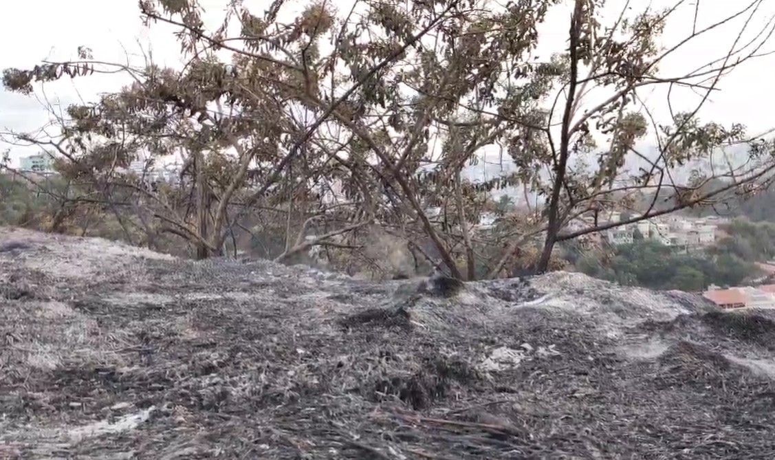 Incêndio em mata na av. Raja Gabaglia, em BH, é controlado