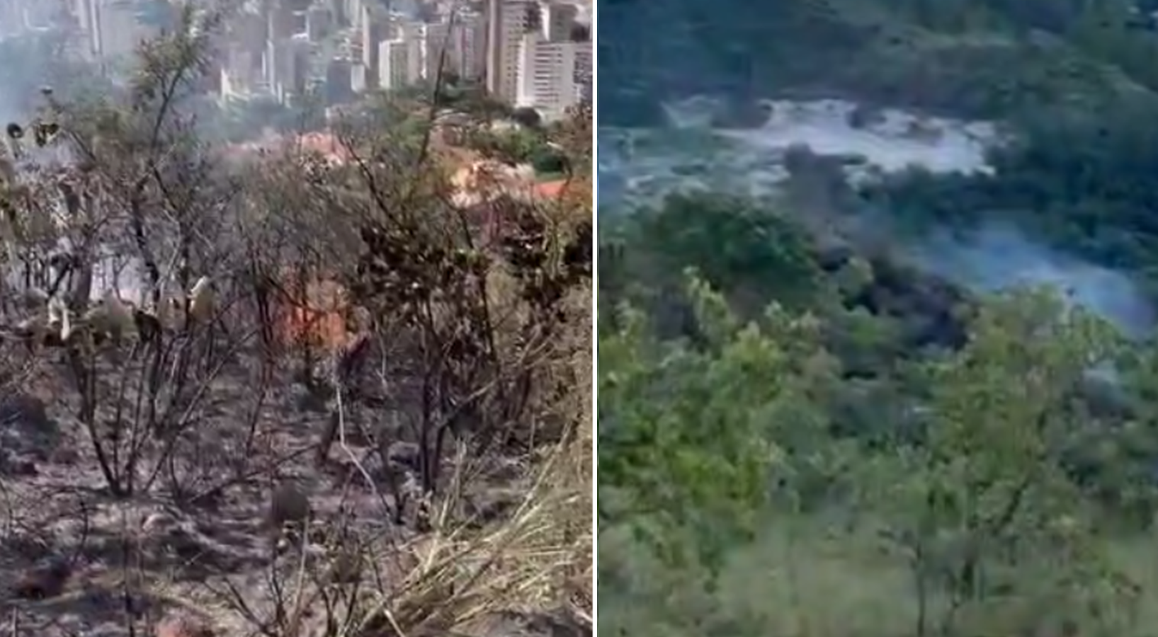Vídeo: combate a incêndio em mata na Vila Acaba Mundo, em BH, mobiliza bombeiros