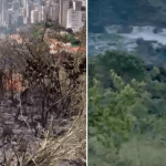 Vídeo: combate a incêndio em mata na Vila Acaba Mundo, em BH, mobiliza bombeiros