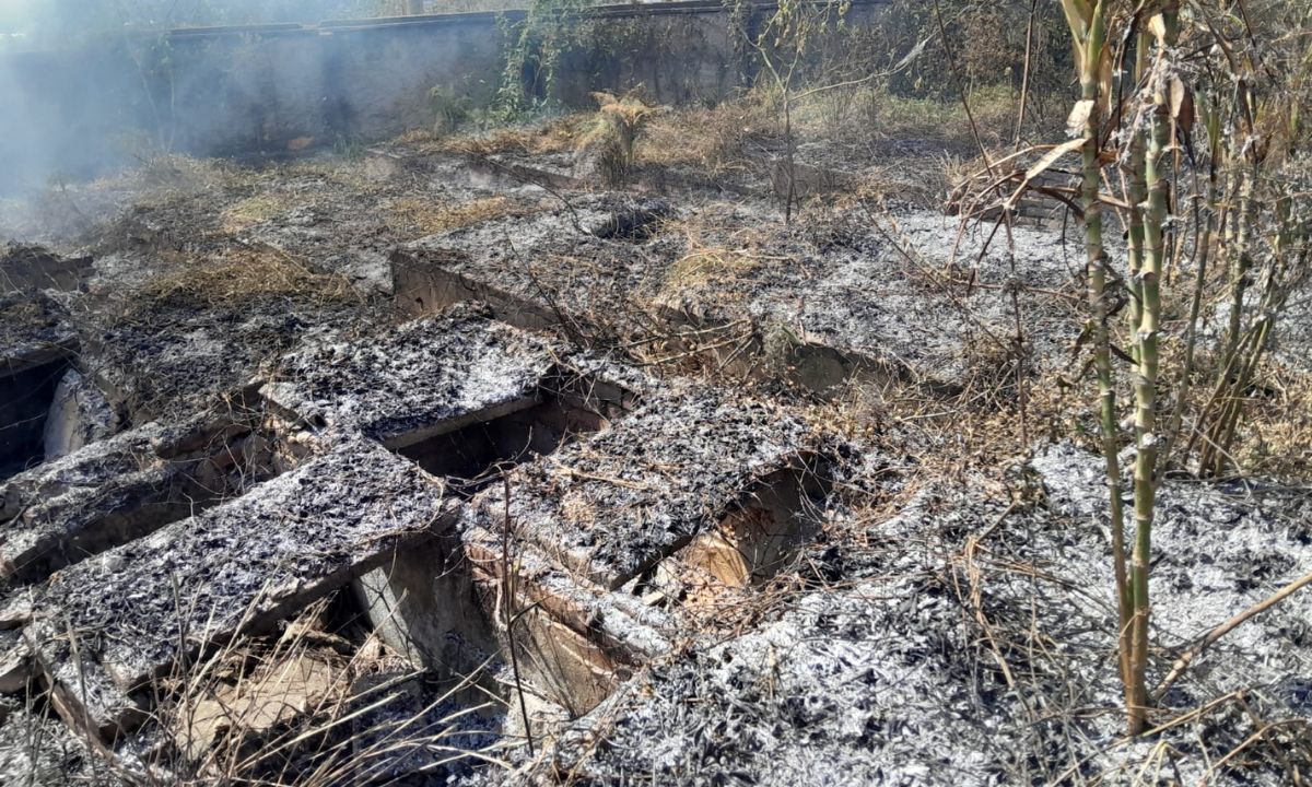 Bombeiros controlam incêndio em cemitério desativado em Barbacena