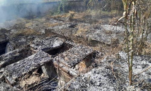 Incêndio atinge cemitério desativado em Barbacena