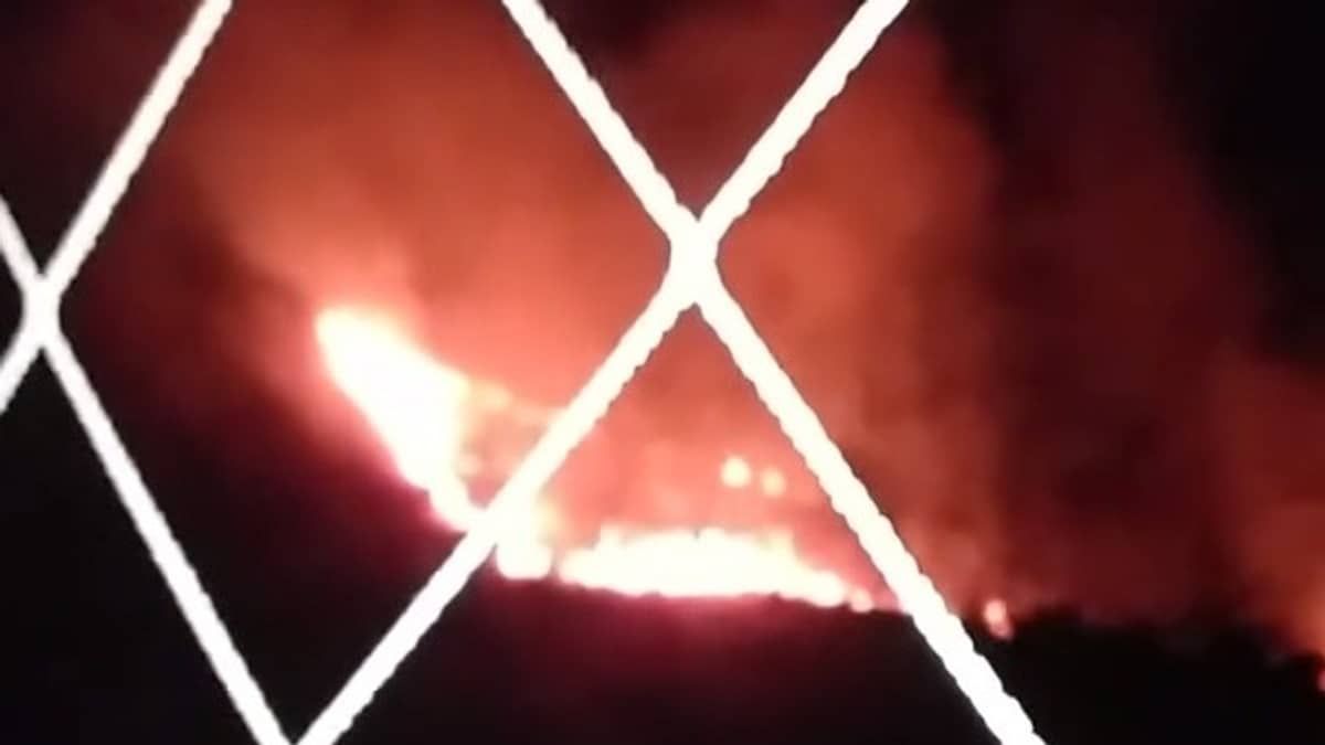 Incêndio atinge parque ecológico no bairro Palmares, em Belo Horizonte