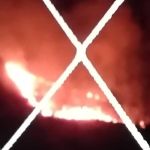 Incêndio atinge parque ecológico no bairro Palmares, em Belo Horizonte